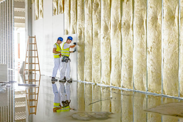 Garage Insulation Installation in Desoto, TX